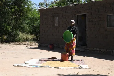 DSC_2775 (Large).JPG